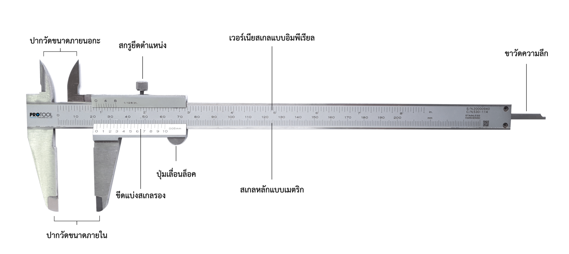 เวอร์เนีย